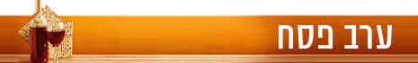 צילום: SHUTTERSTOCK צילום: SHUTTERSTOCK