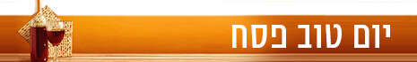 צילום: SHUTTERSTOCK צילום: SHUTTERSTOCK