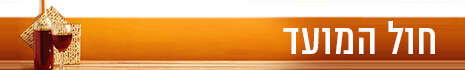 צילום: SHUTTERSTOCK צילום: SHUTTERSTOCK