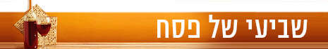 צילום: SHUTTERSTOCK צילום: SHUTTERSTOCK