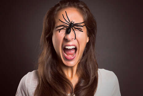 צילום: SHUTTERSTOCK צילום: SHUTTERSTOCK