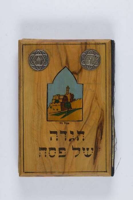 צילום: אלעד זגמן צילום: אלעד זגמן
