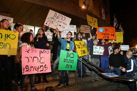 צילום: אמיר מאירי צילום: אמיר מאירי