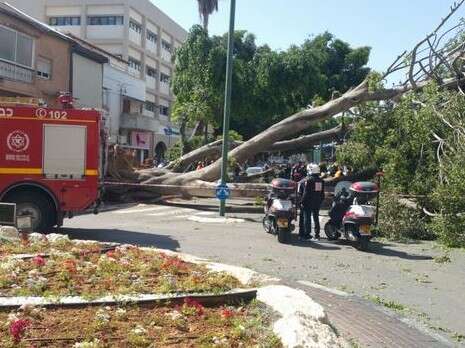 צילום: דוברות מד''א צילום: דוברות מד''א