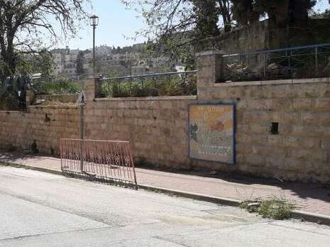 צילום: נעם ארנון צילום: נעם ארנון