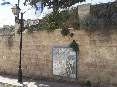 צילום: נעם ארנון צילום: נעם ארנון