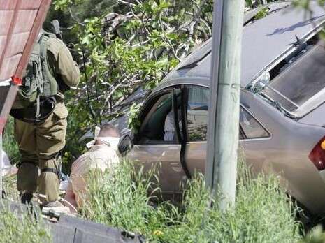 צילום: הלל מאיר/TPS צילום: הלל מאיר/TPS
