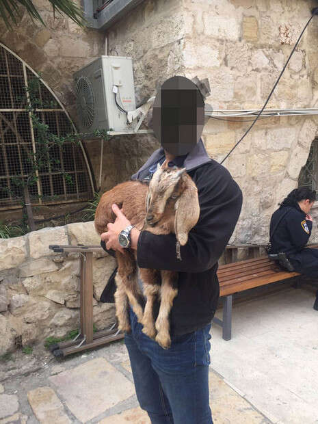צילום: דוברות המשטרה צילום: דוברות המשטרה