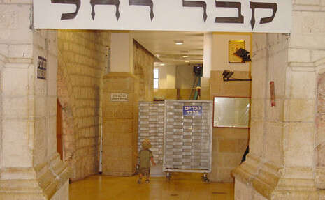 צילום: מירי צחי צילום: מירי צחי
