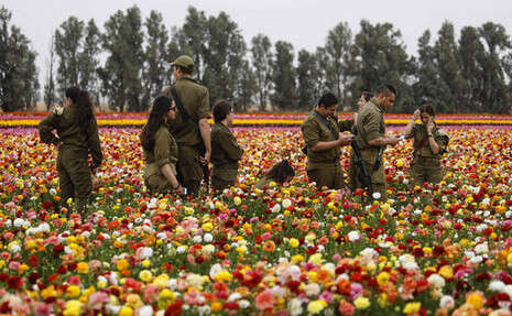 צילום: AFP צילום: AFP