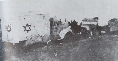 צילום: Marlin Levin צילום: Marlin Levin