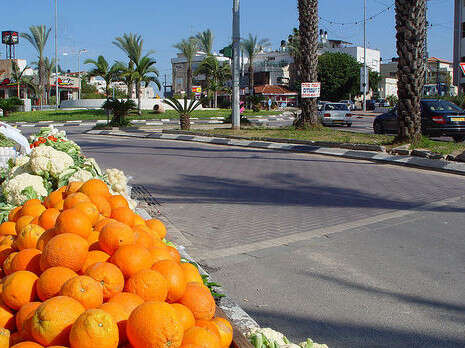 צילום: Etan J. Tal, ויקיפדיה צילום: Etan J. Tal, ויקיפדיה