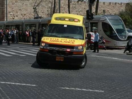 צילום: אורן בן חקון צילום: אורן בן חקון