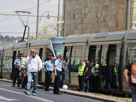 צילום: יונתן זינדל, פלאש 90 צילום: יונתן זינדל, פלאש 90