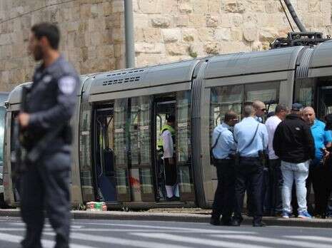 צילום: יונתן זינדל, פלאש 90 צילום: יונתן זינדל, פלאש 90