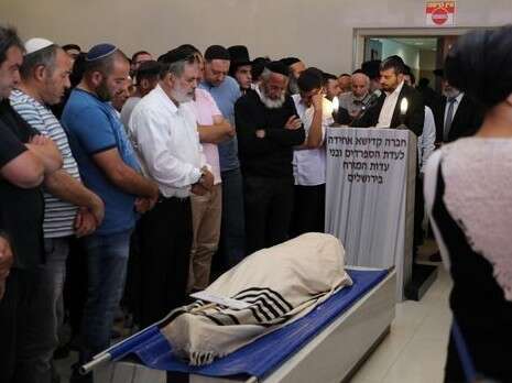צילום: יונתן זינדל, פלאש 90 צילום: יונתן זינדל, פלאש 90