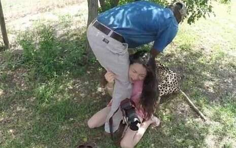  :  