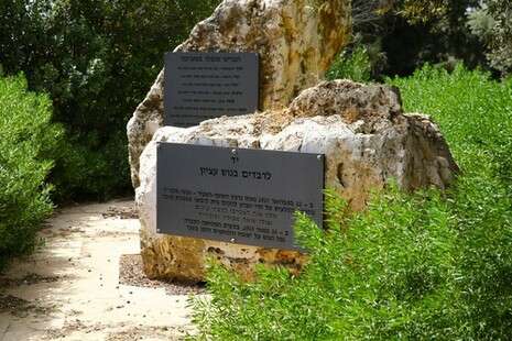 צילום: לירון מולדובן צילום: לירון מולדובן
