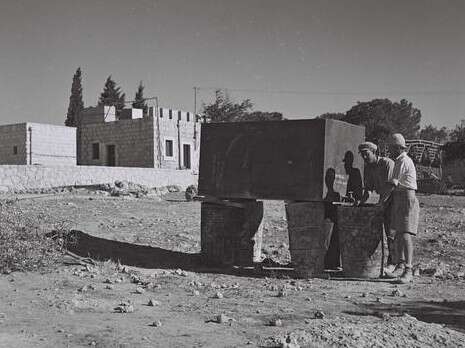 צילום: זולטן קלוגר, לע''מ צילום: זולטן קלוגר, לע''מ
