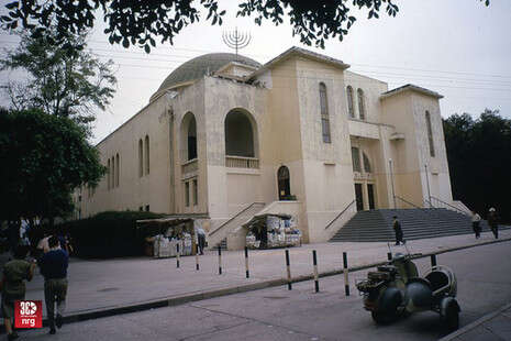 צילום: באדיבות שי רגו'אן White City Tel Aviv צילום: באדיבות שי רגו'אן White City Tel Aviv