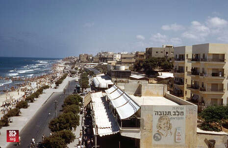 צילום: באדיבות שי רגו'אן White City Tel Aviv צילום: באדיבות שי רגו'אן White City Tel Aviv