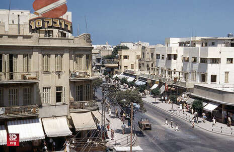 צילום: באדיבות שי רגו'אן White City Tel Aviv צילום: באדיבות שי רגו'אן White City Tel Aviv
