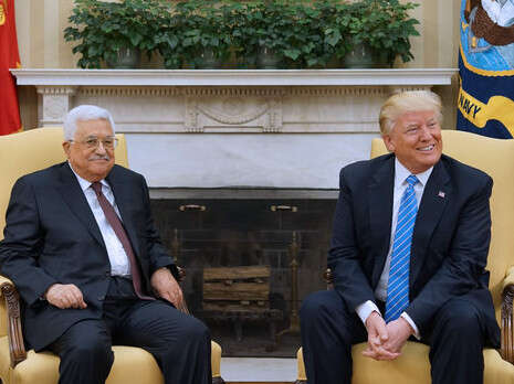 צילום: AFP צילום: AFP