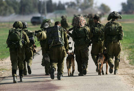 צילום: AFP צילום: AFP