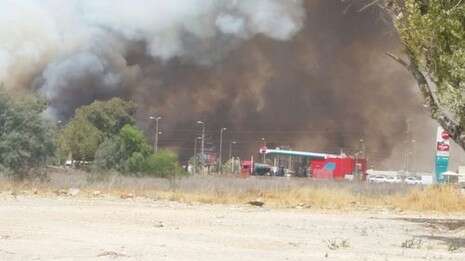 צילום: קבוצת דיווחים לכיש דרום צילום: קבוצת דיווחים לכיש דרום