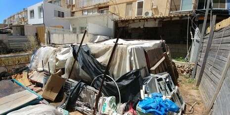 צילום: יצחק ברבי צילום: יצחק ברבי