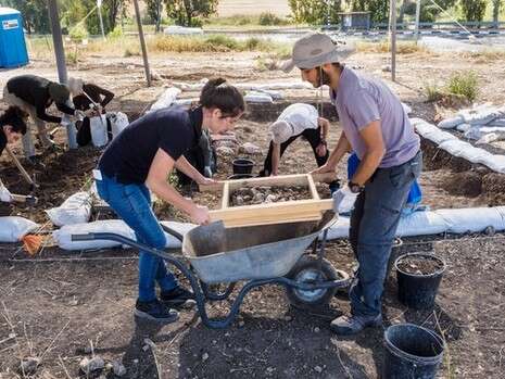 צילום: אסף פרץ, רשות העתיקות צילום: אסף פרץ, רשות העתיקות
