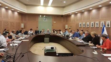צילום: שירית אביטן כהן צילום: שירית אביטן כהן