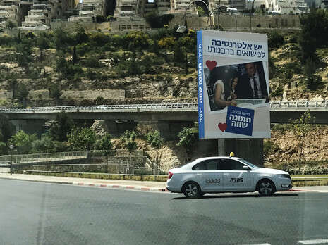 צילום: אופיר דוד צילום: אופיר דוד