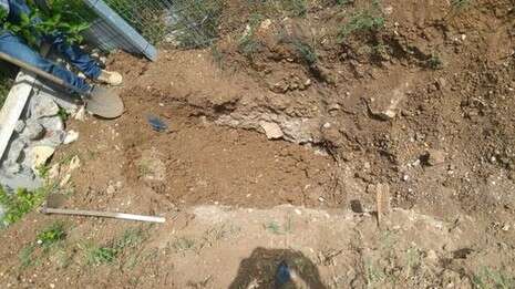 צילום: דוברות המשטרה צילום: דוברות המשטרה
