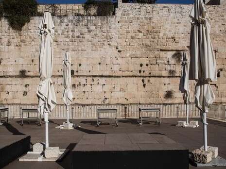 צילום: הדס פרוש/ פלאש 90 צילום: הדס פרוש/ פלאש 90