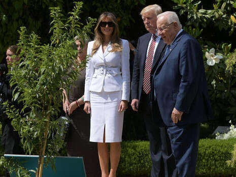 צילום: AFP צילום: AFP