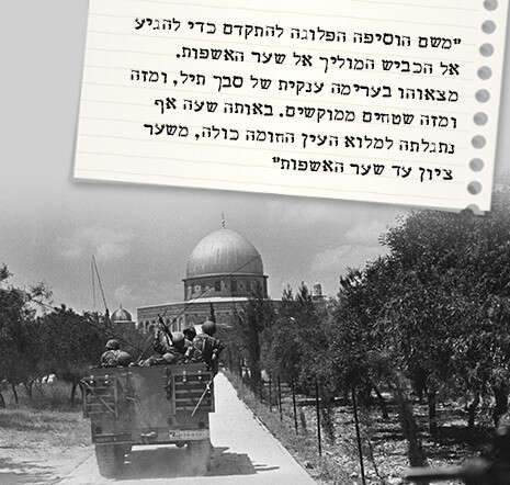 צילום: לע''מ צילום: לע''מ