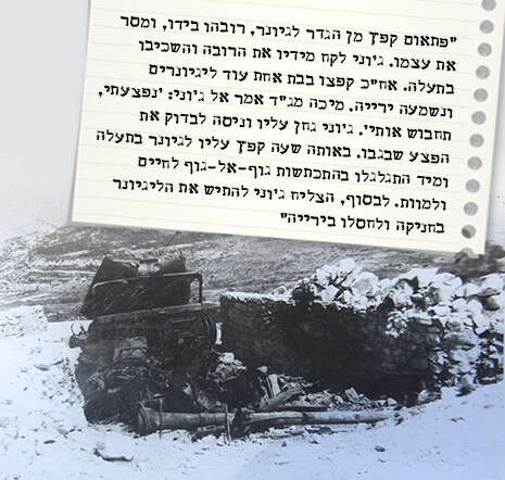 צילום: מירי צחי צילום: מירי צחי