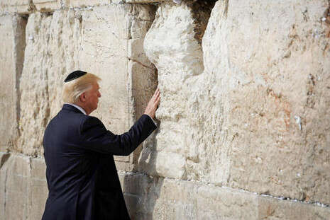 צילום: נתי שוחט, פלאש 90 צילום: נתי שוחט, פלאש 90
