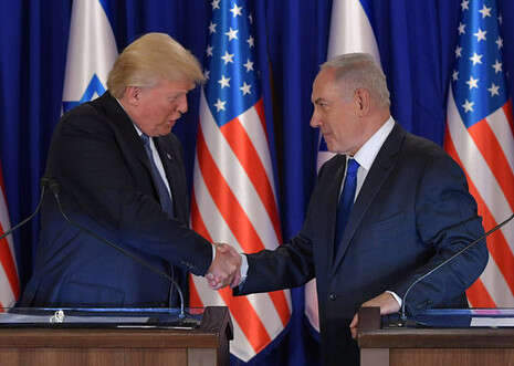 צילום: AFP צילום: AFP