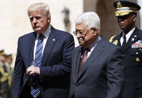 צילום: AFP צילום: AFP