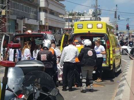 צילום: שמואל בוכריס צילום: שמואל בוכריס
