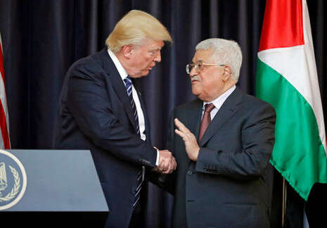 צילום: AFP צילום: AFP