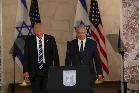 צילום: יונתן זינדל, פלאש 90 צילום: יונתן זינדל, פלאש 90