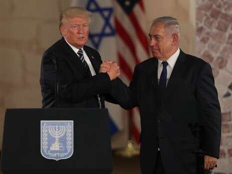 צילום: יונתן זינדל, פלאש 90 צילום: יונתן זינדל, פלאש 90