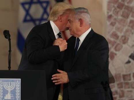 צילום: יונתן זינדל, פלאש 90 צילום: יונתן זינדל, פלאש 90