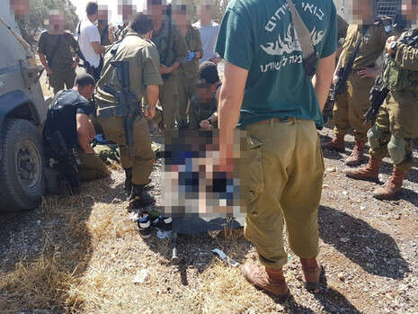 צילום: אריה ציטרינוביץ/TPS צילום: אריה ציטרינוביץ/TPS