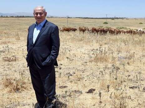 צילום: חיים צח, לע''מ צילום: חיים צח, לע''מ