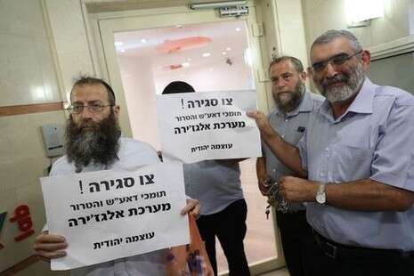 צילום: יונתן זינדל/ פלאש 90 צילום: יונתן זינדל/ פלאש 90
