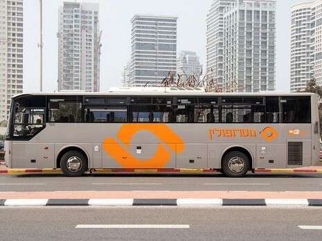 צילום: Shira15, מתוך ויקיפדיה צילום: Shira15, מתוך ויקיפדיה
